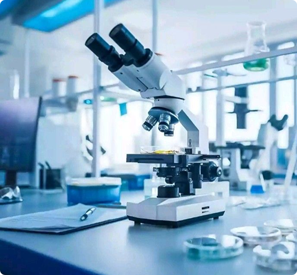 صورة تمثل قيم الشركة